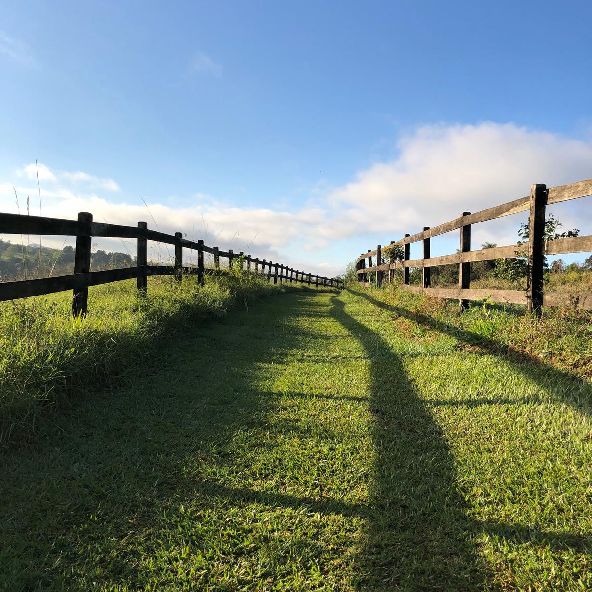 An image showcasing a variety of beautifully designed fences with different colors and styles, appealing to customers' visual preferences and demonstrating the versatility of fence designs.