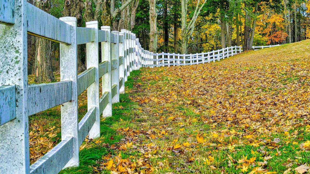 An image of a fence business showcasing different types of fences and a happy customer.