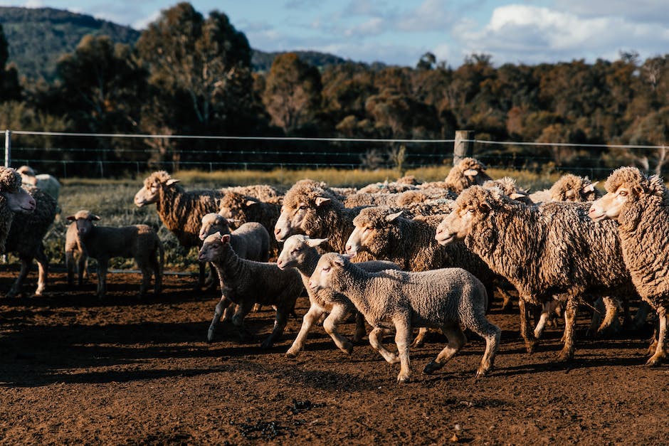 Image depicting a group of fence companies in a competitive landscape.